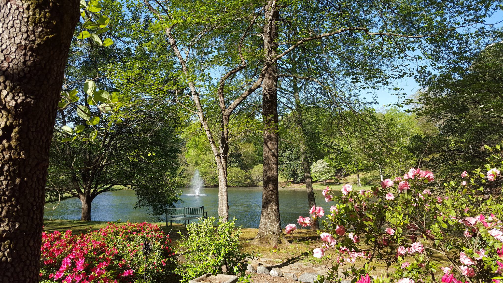 Carmel Hills in Charlotte